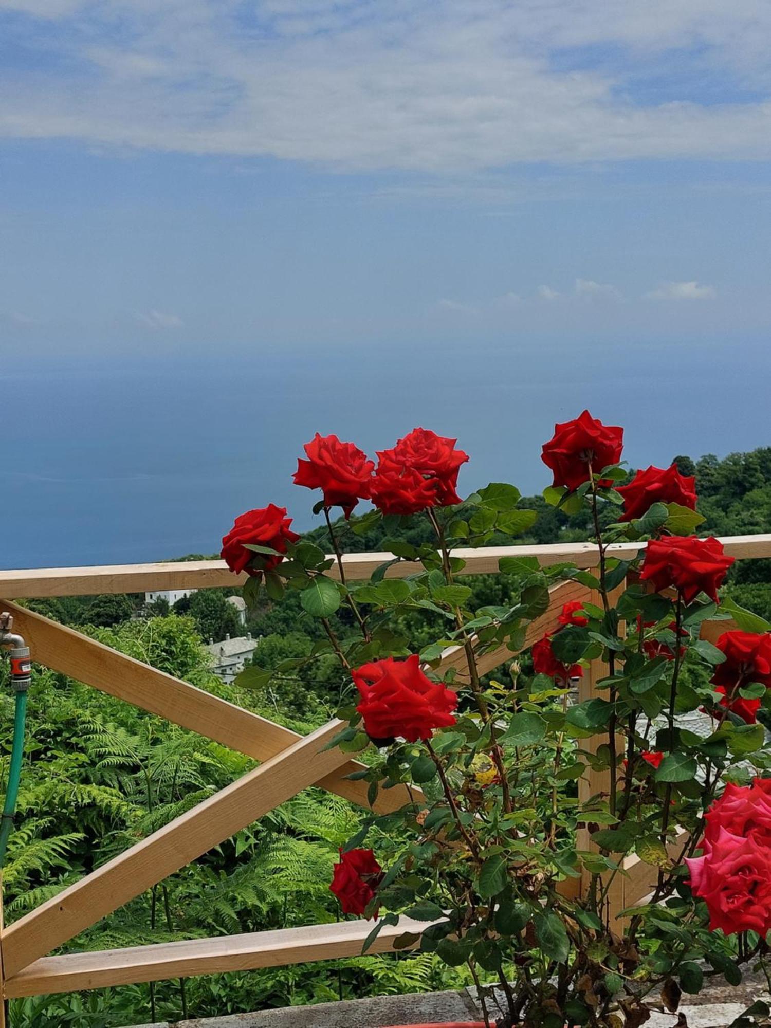 Θαλλώ Luxurious Villa Цагкарада Номер фото