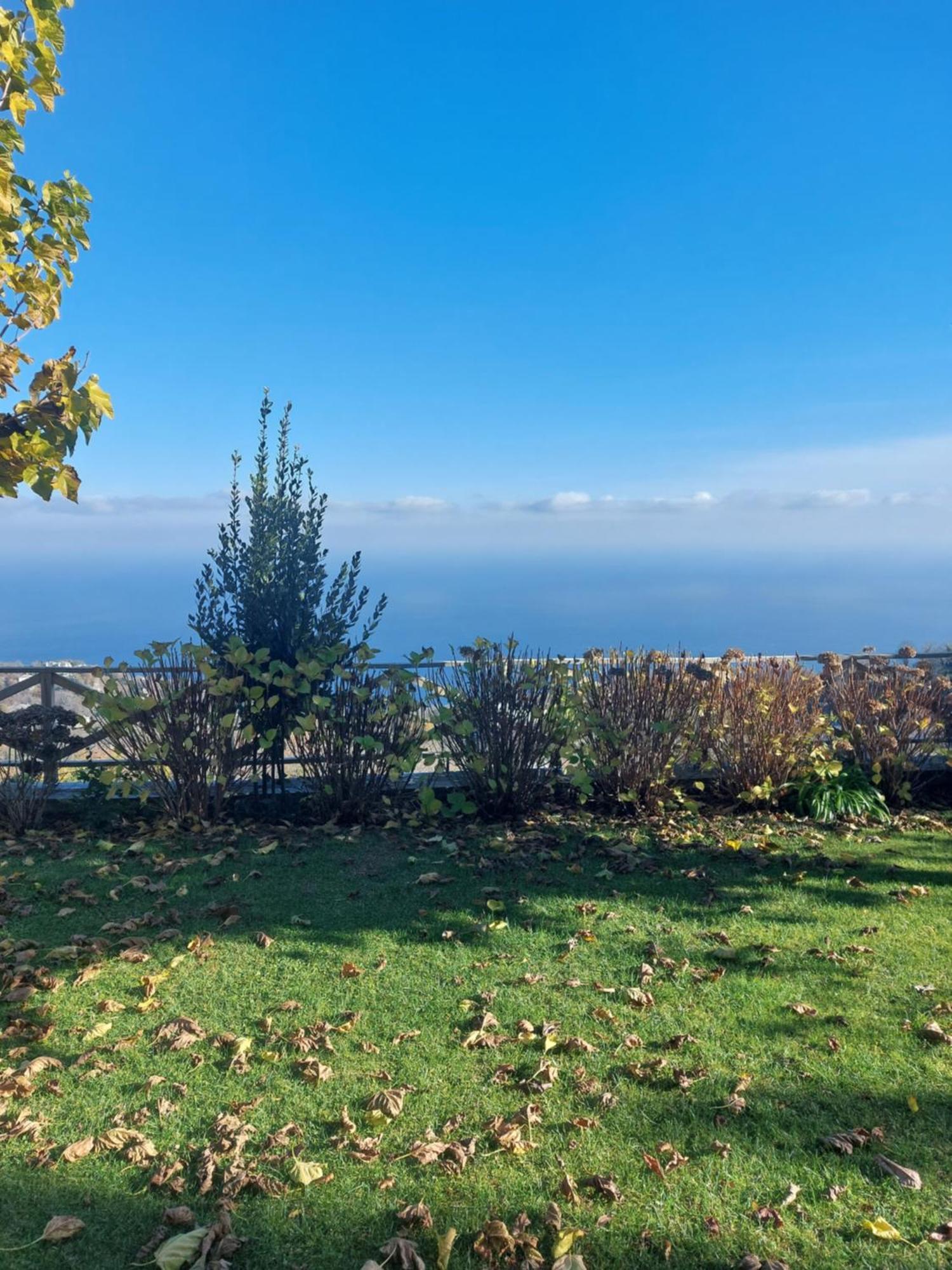 Θαλλώ Luxurious Villa Цагкарада Номер фото