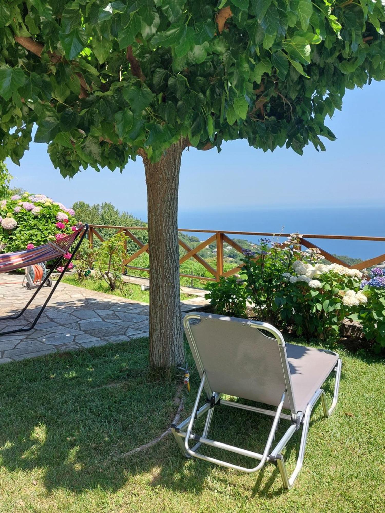 Θαλλώ Luxurious Villa Цагкарада Номер фото